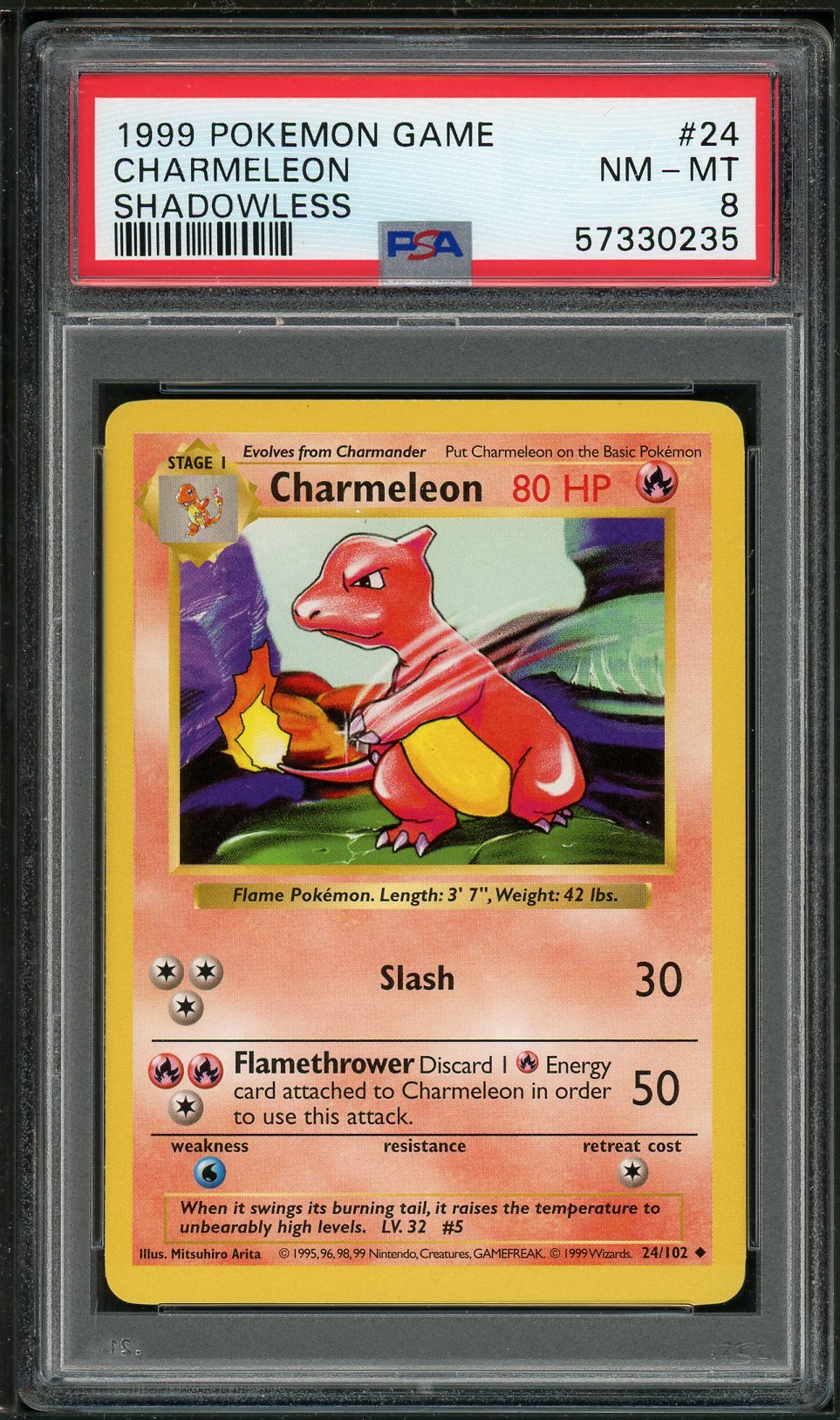 PSA (NM-MT 8) Charmeleon (Shadowless) #24 - Pokemon Game (#57330235) - Image 1